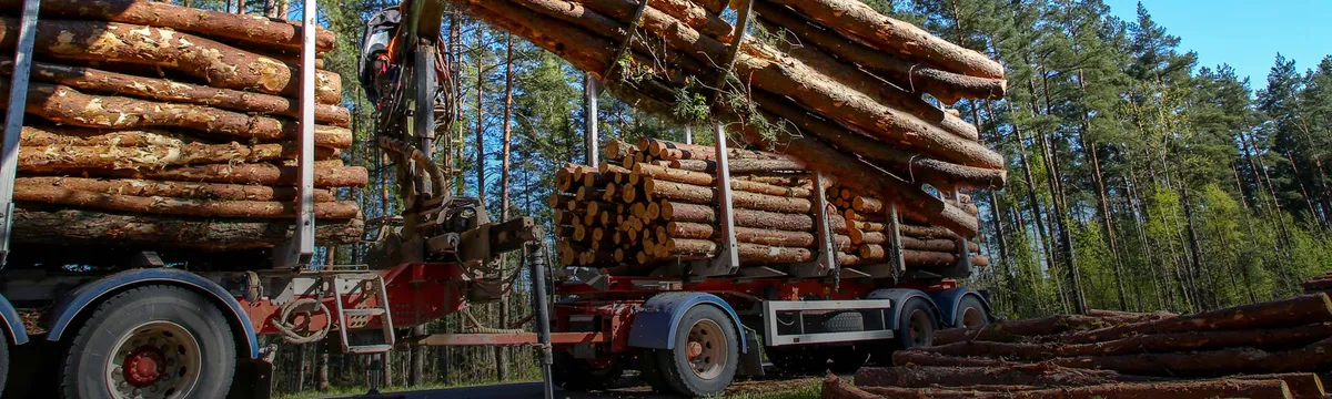 Heavy Machinery VR & Machine Vision